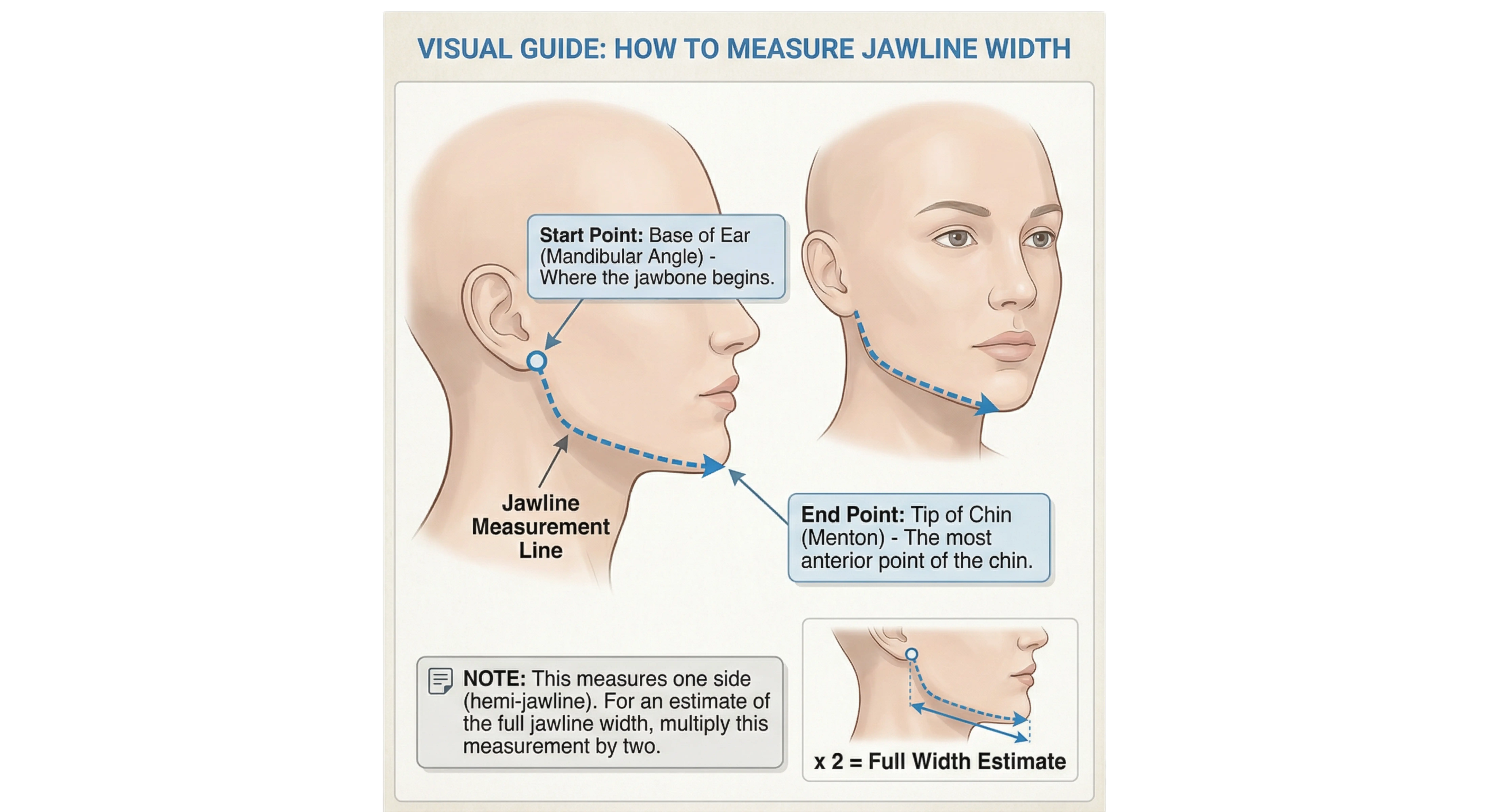 Diagram showing how to measure jawline width for face shape analysis